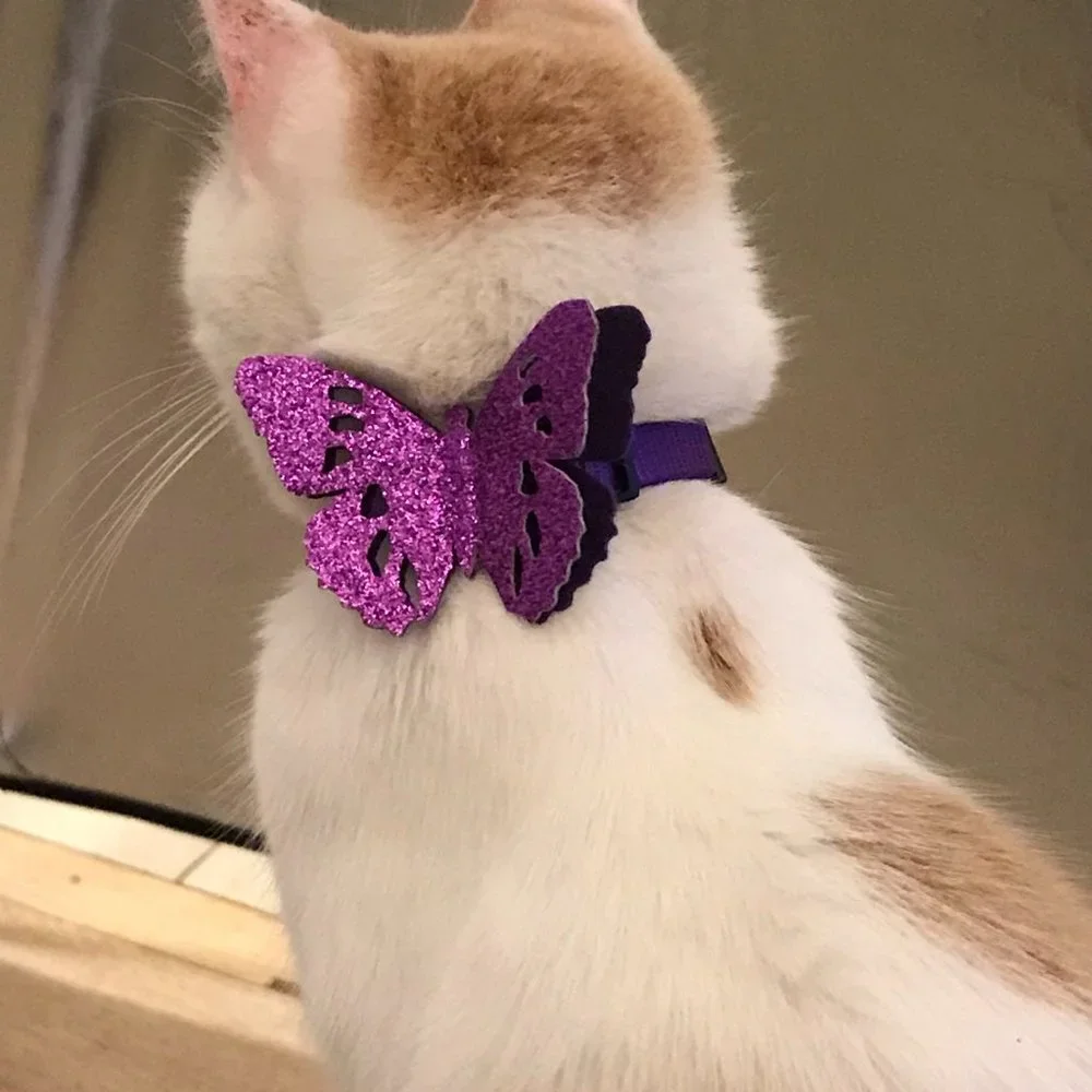 Shiny Butterfly Cat Collar